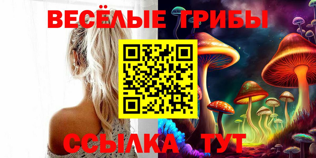 Псилоцибиновые грибы Psilocybine cubensis Ленинск-Кузнецкий